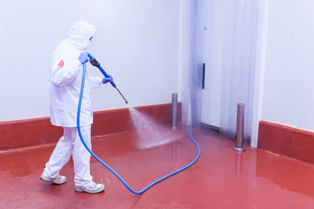 Boat and Dock Cleaning in Garrison, MD